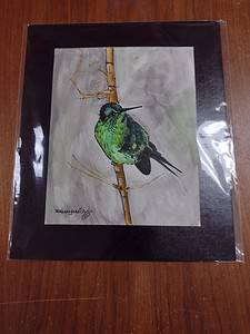 Green HummingBird