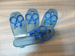 Tamsco Scissors Blue
