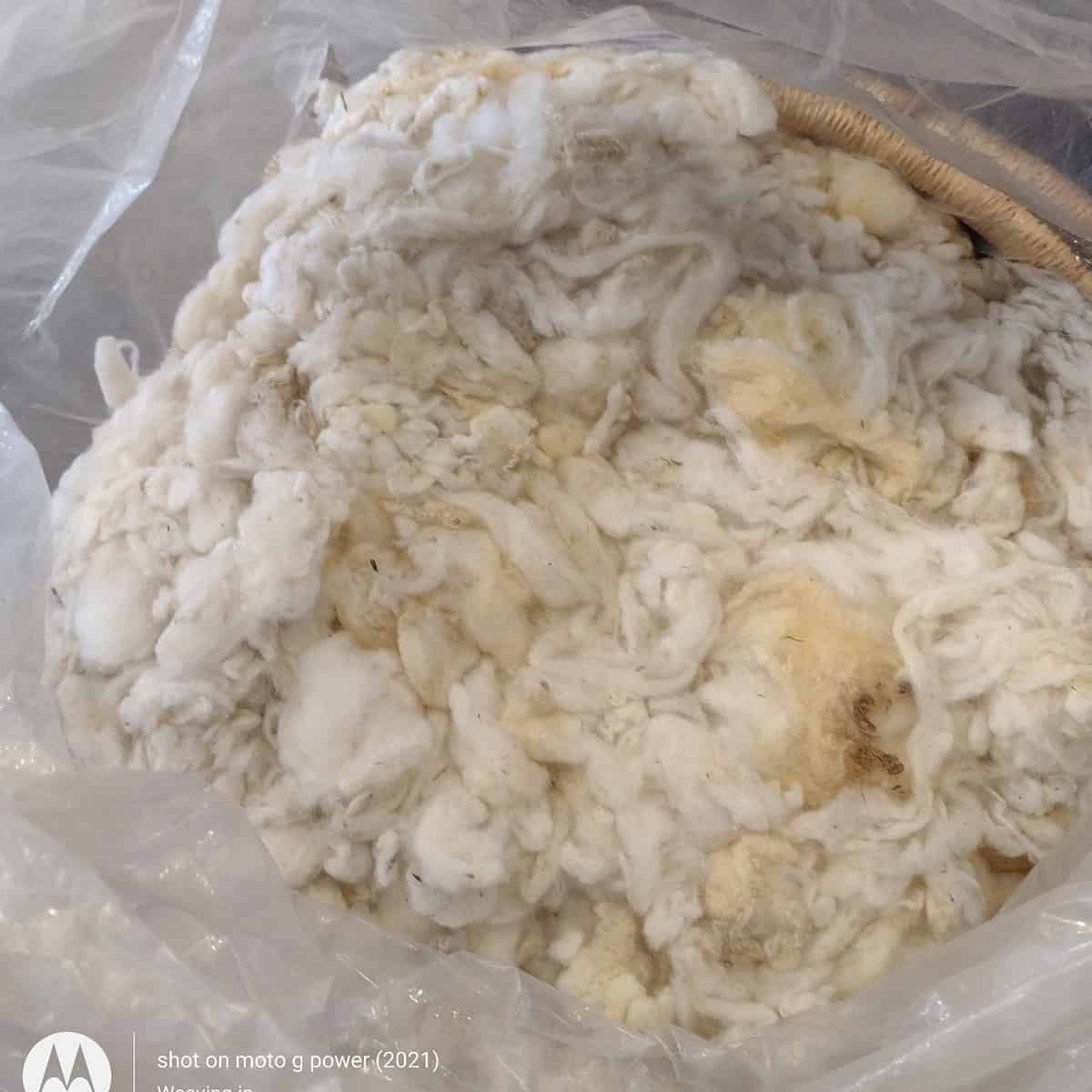 Wool Roving – Buckwheat Blossom Farm