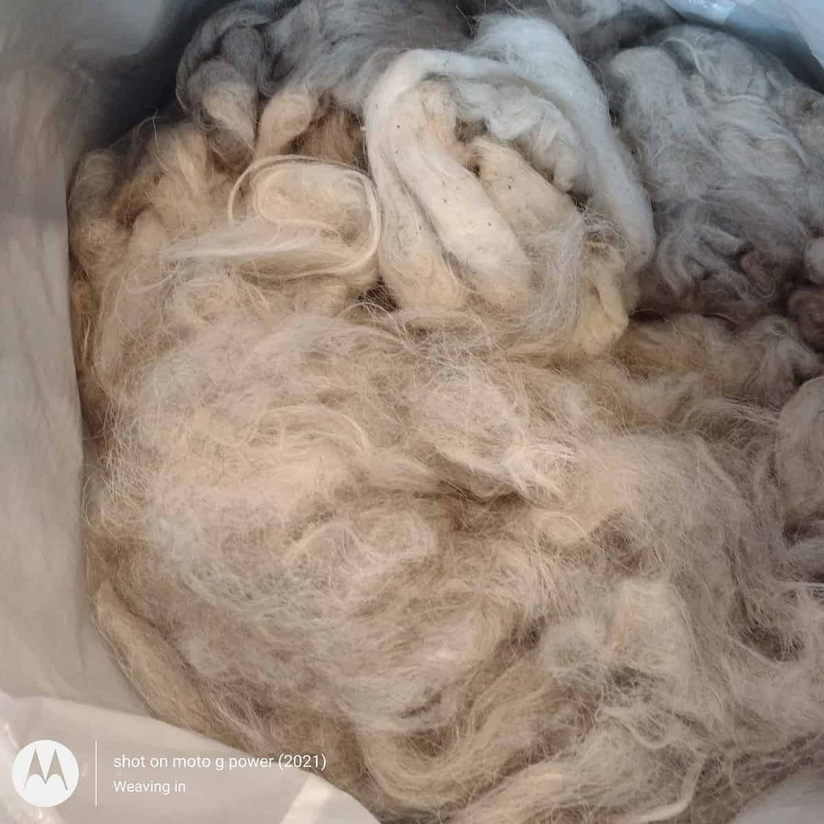 PUMPKIN ORANGE- American Farm Wool- Medium Grade Wool Roving for