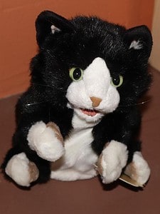 Tuxedo Kitten