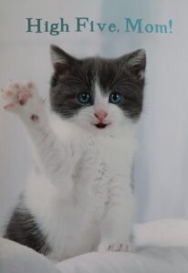 High five, Mom!