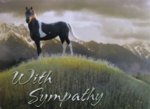 Sympathy, Horse/Mountain