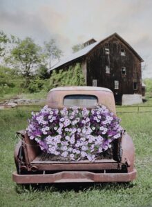 Truck with Purple Flowers