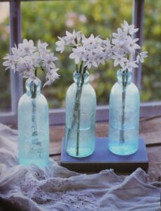 White Flowers in Vases