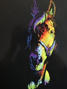 Rainbow Horse with black background