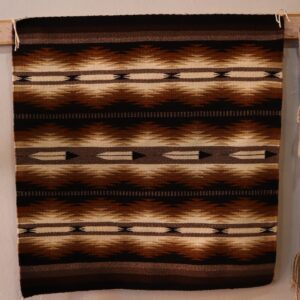 Brown Eyedazzler w/ Feathers- Amelda Gray