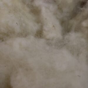 New England Fiber- Handcarded - Handwashed