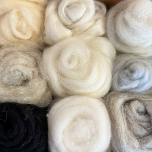 Wool Carded Silver Sampler- Dyed Corriedale Sampler-R.H. Lindsay Company