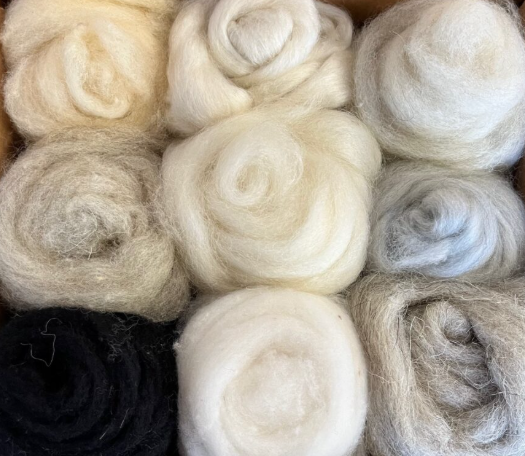 Wool Carded Silver Sampler- Dyed Corriedale Sampler-R.H. Lindsay Company