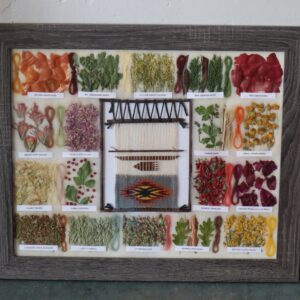 Melissa Myers - Plant Dye Charts