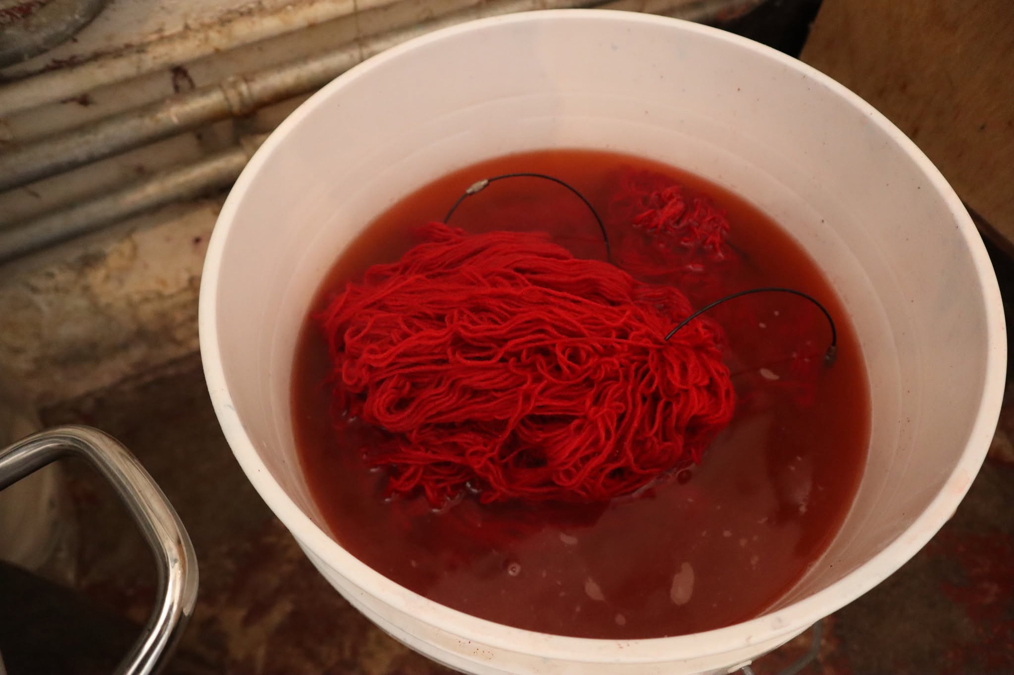 Cochineal Cochineal