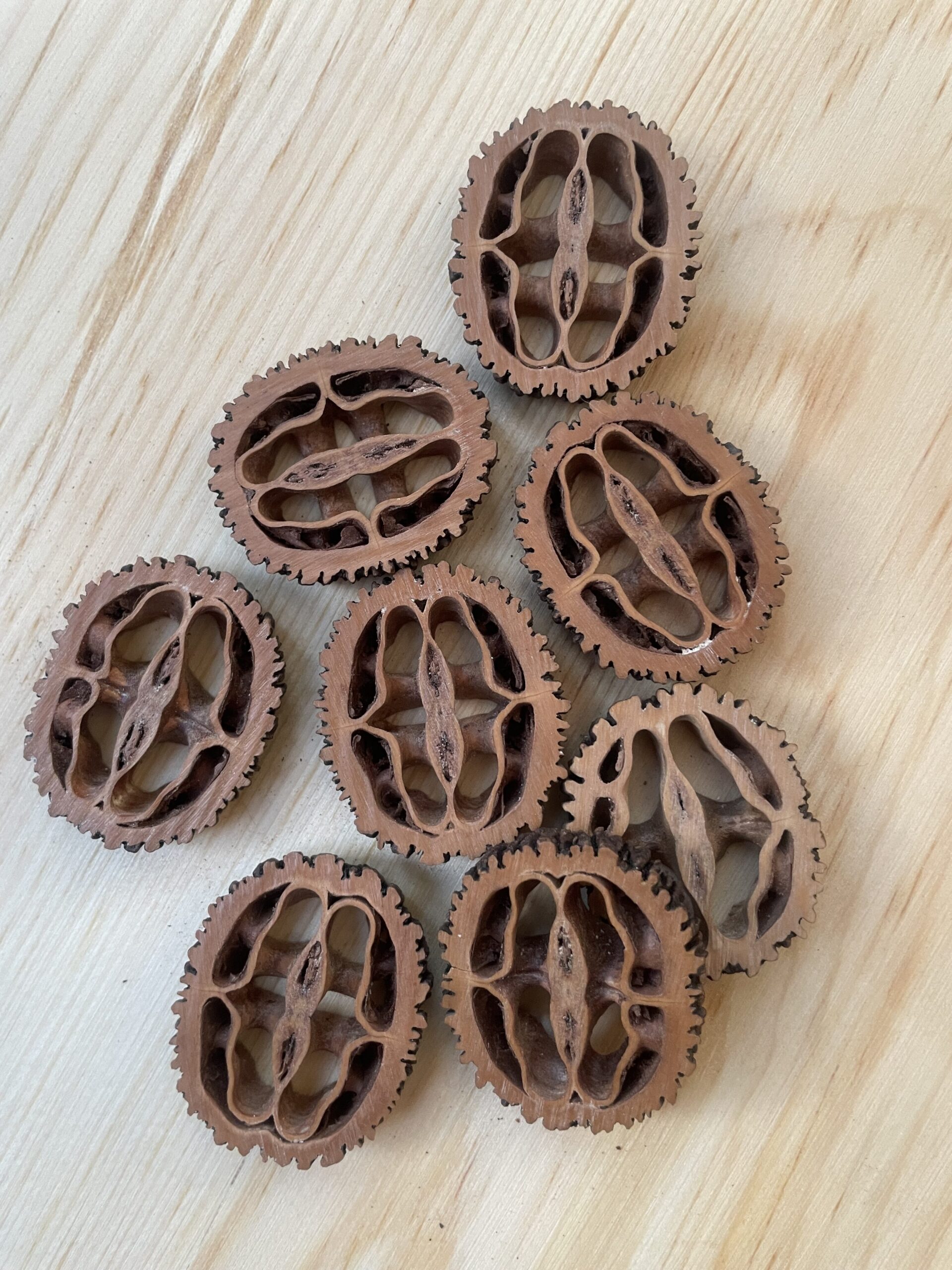 Pine Needle Walnut Coiled Basket Pine Needle Walnut Coiled Basket
