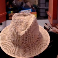 Ra-ra raffia Fedora Desert Palm