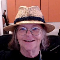 Cowboy Hat Fedora Secret in Ra-Ra Raffia Desert Palm