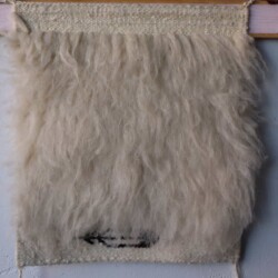 Navajo Tufted Rug - Emily Malone