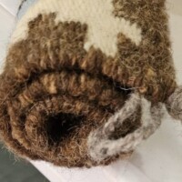 Navajo Homestead Pictorial Rolled