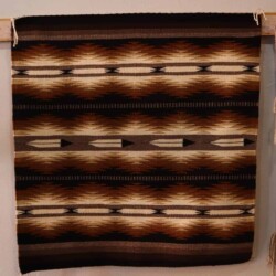 Brown Eyedazzler w/ Feathers- Amelda Gray