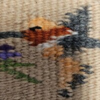 Davina Begay Four Directions Hummingbird Pictorial