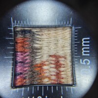 Hummingbirds in Monument Valley Pictorial by Davina Begay